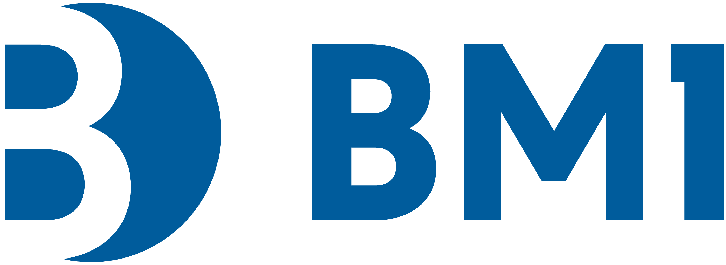 BM1 Logo