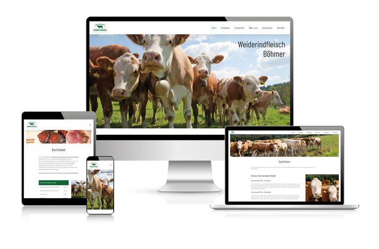 Website